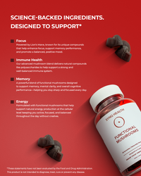 SYNQ Zero™ mushroom complex gummies