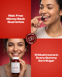 SYNQ Zero™ mushroom complex gummies